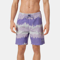 Adidas swim shorts