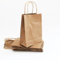 Paper gift bag with handles 16x22x8 cm 12 pcs